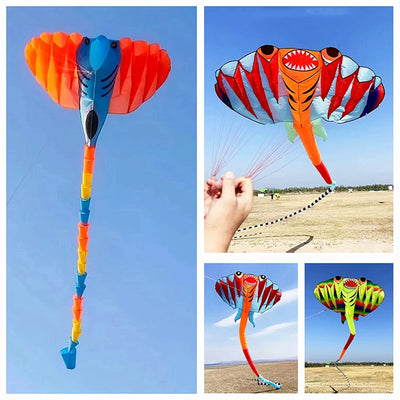 https://finsportz.com › products › free-shipping-inflatable-kites-flying-fish-kites-toys-fun-outdoor-game-ripstop-nylon-fabric-kiteboarding-excitador-linha-pipa