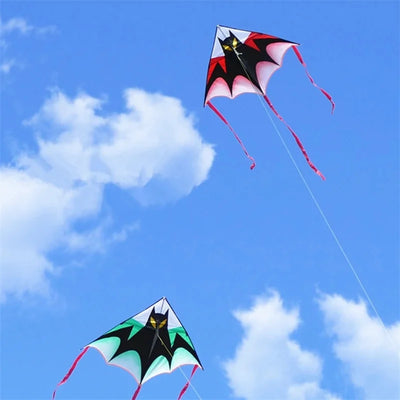 https://finsportz.com › products › free-shipping-large-bat-kite-flying-children-kite-reel-outdoor-sports-game-ripstop-nylon-fabric-kite-surfing-professional-surf